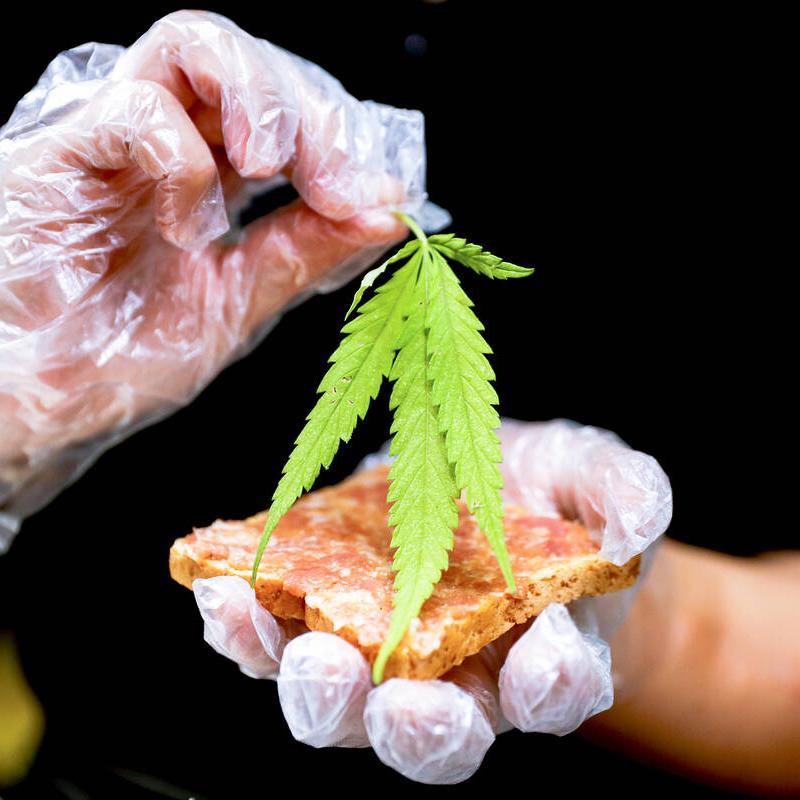 mega сайт тор ссылка